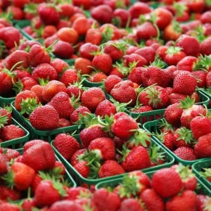 Fresh Strawberries